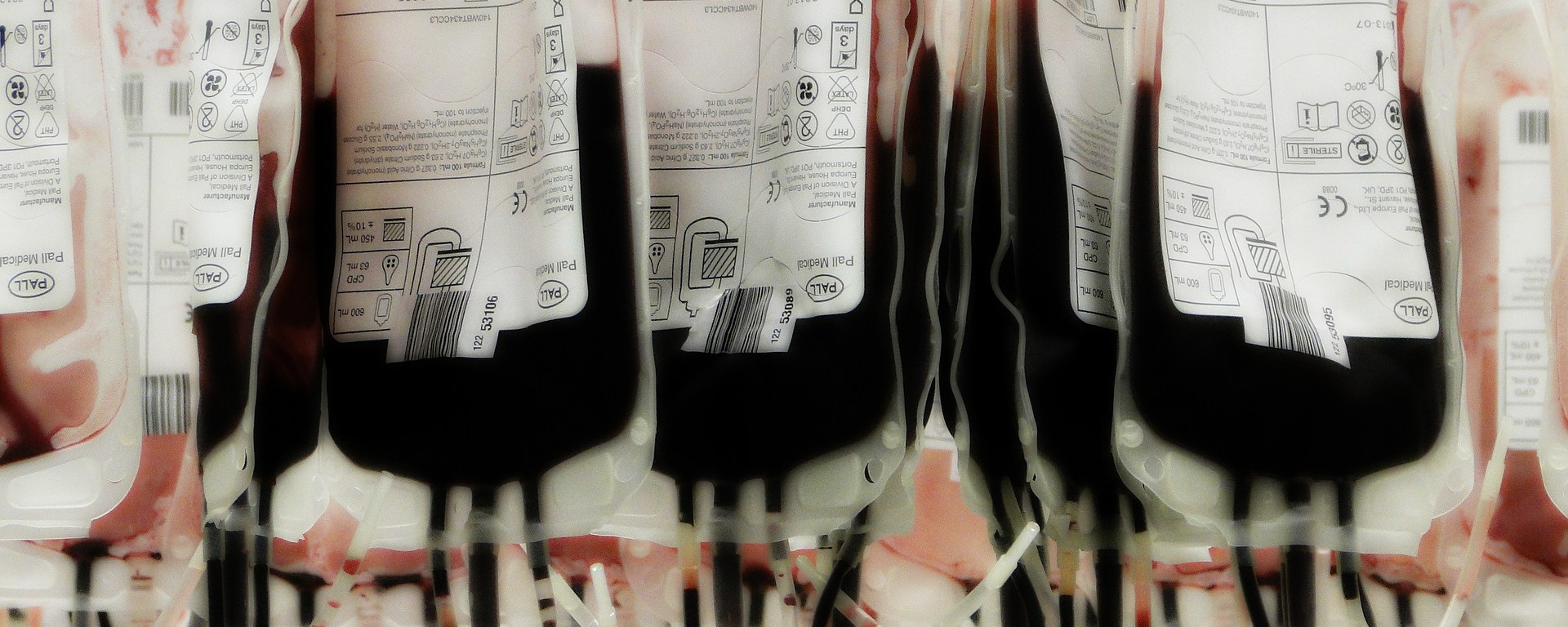 Blood Donation Bags