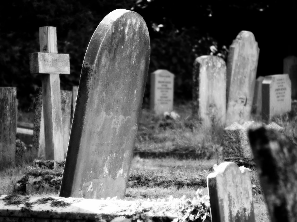 Necrophilia: Desire, Death, and the Psychology of Absolute Control