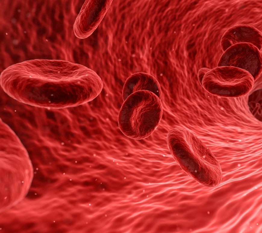 Red Cells