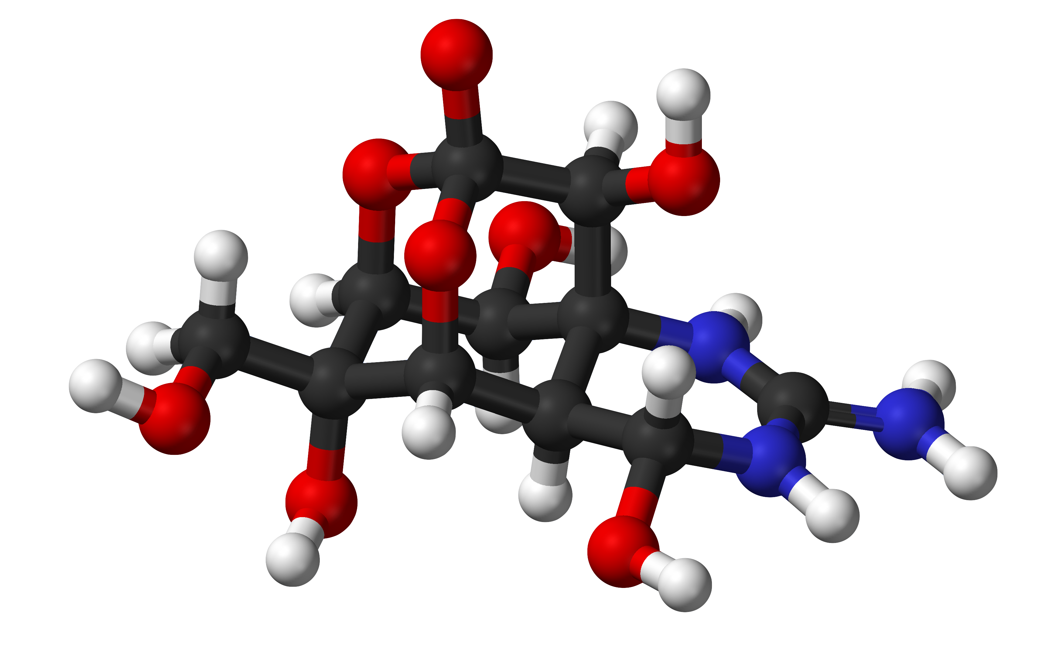 Tetrodotoxin Molecule
