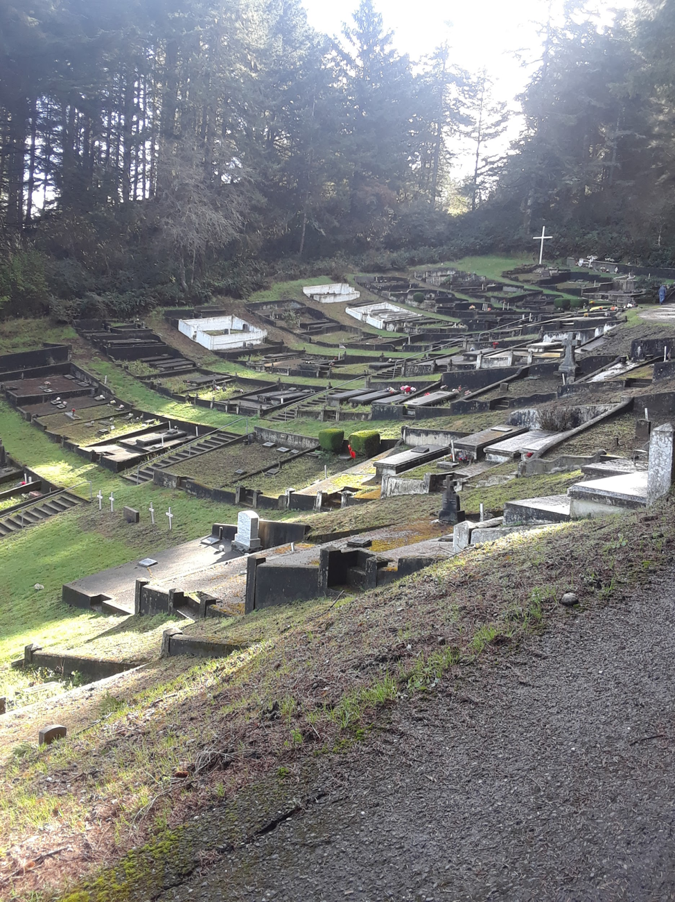 St Mary Cemetery - California