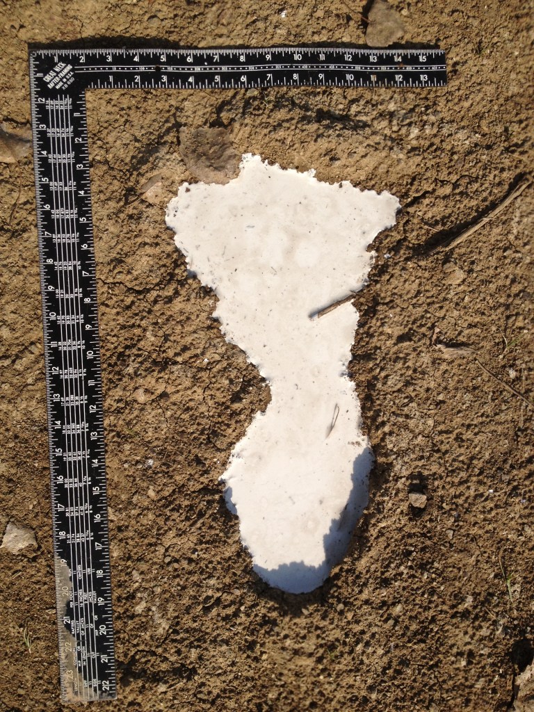 Property of Carter Buschardt - BFRO