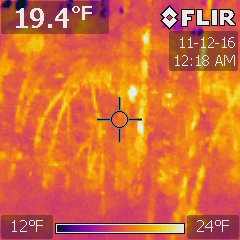 Property of Carter Buschardt - BFRO