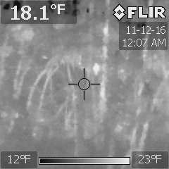 Property of Carter Buschardt - BFRO