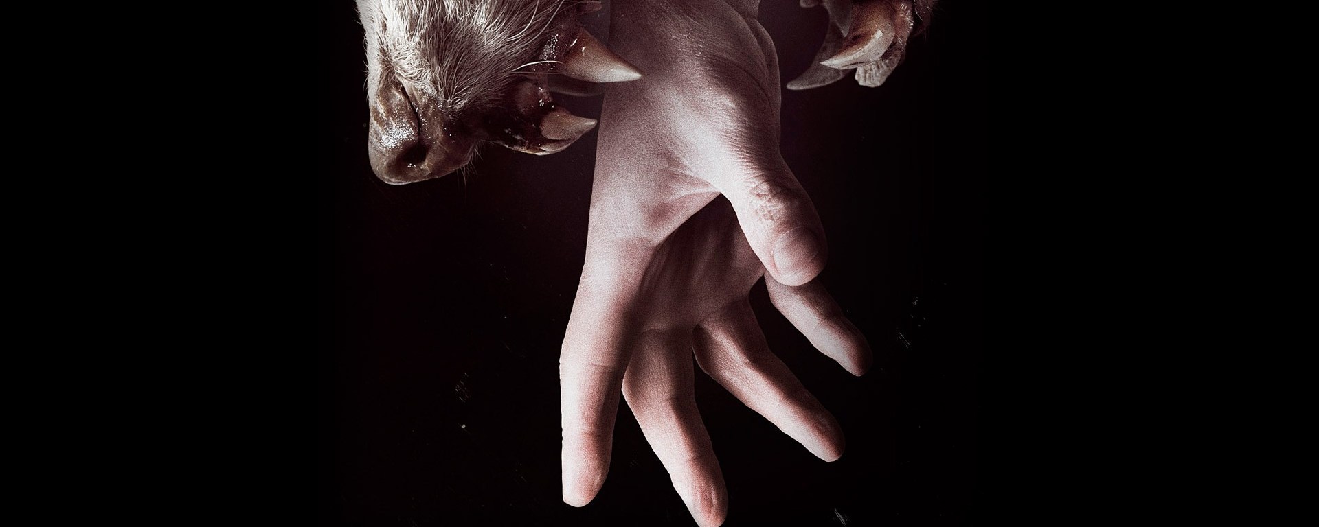 Netflix — Hemlock Grove