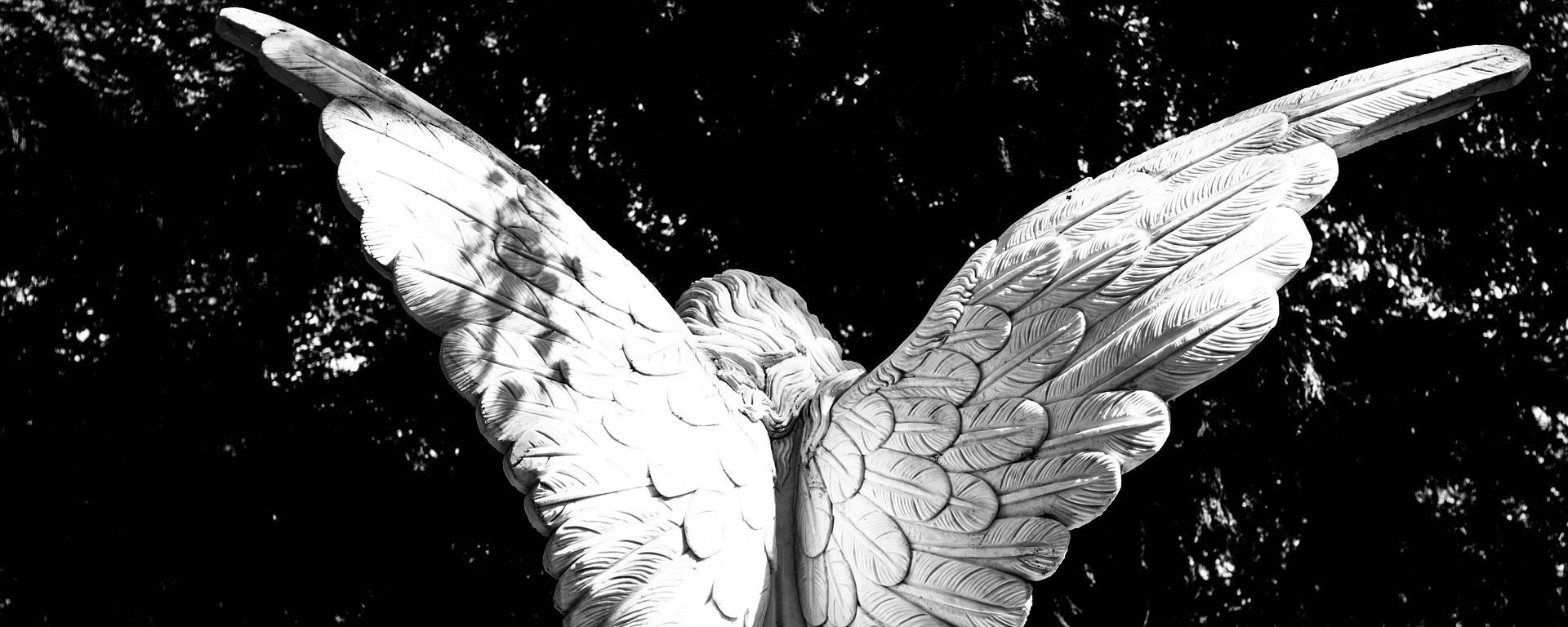 Angel Wings