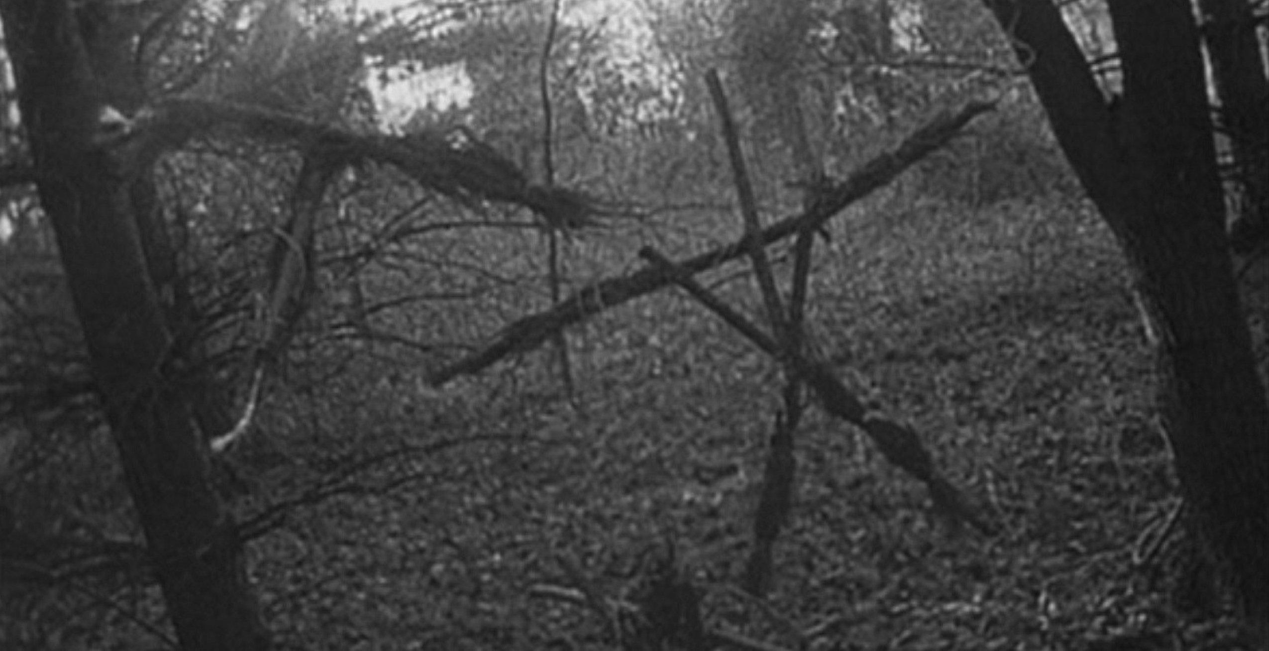 Blair Witch — 2016