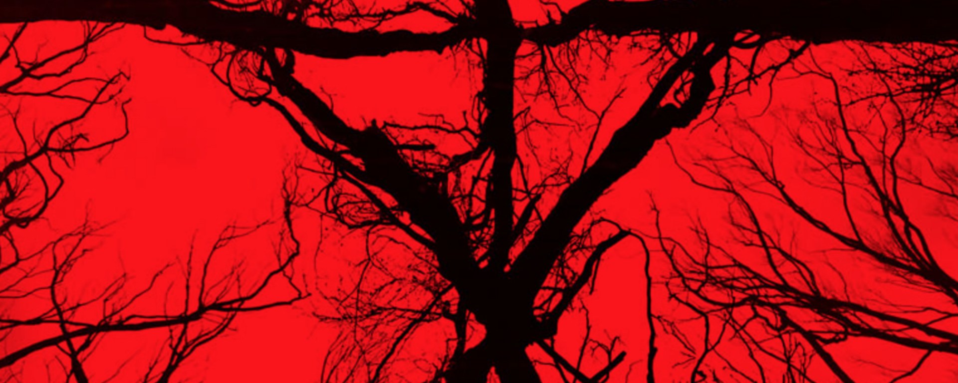 Blair Witch — 2016