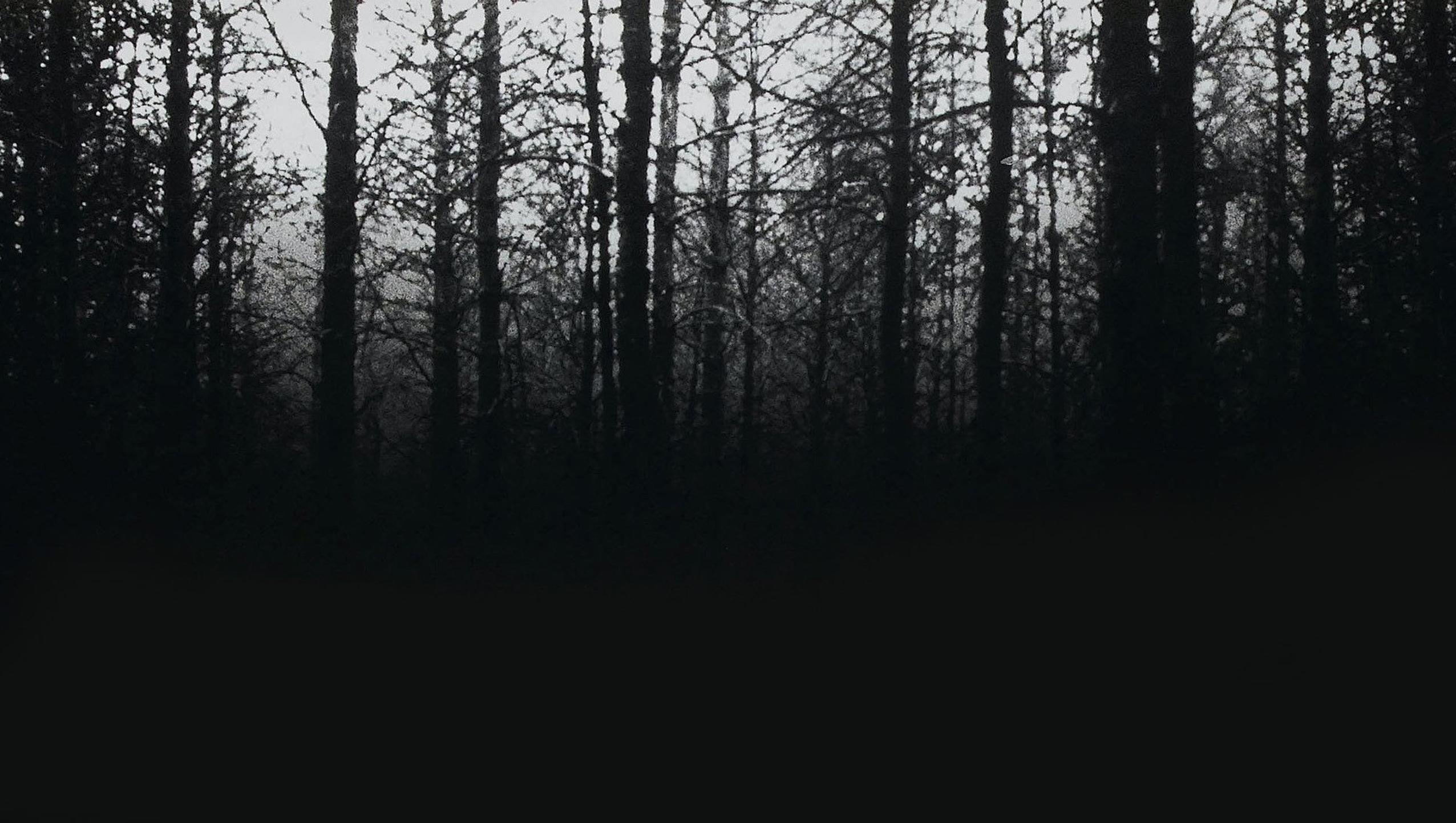 Blair Witch — 2016