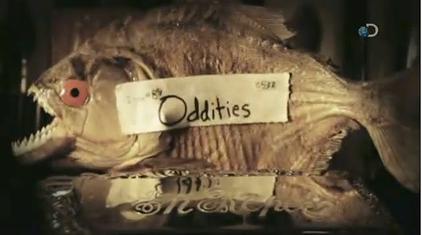 Discovery Channel — Oddities