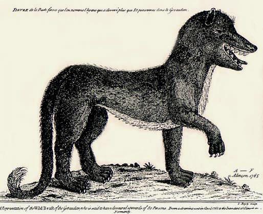 The Beast of Gévaudant
