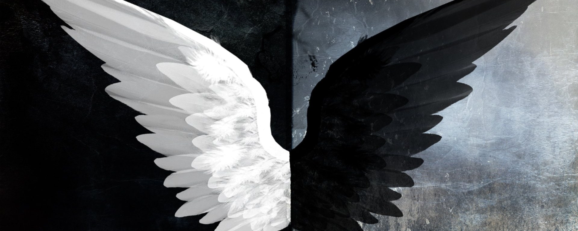 Angel Demon Wings