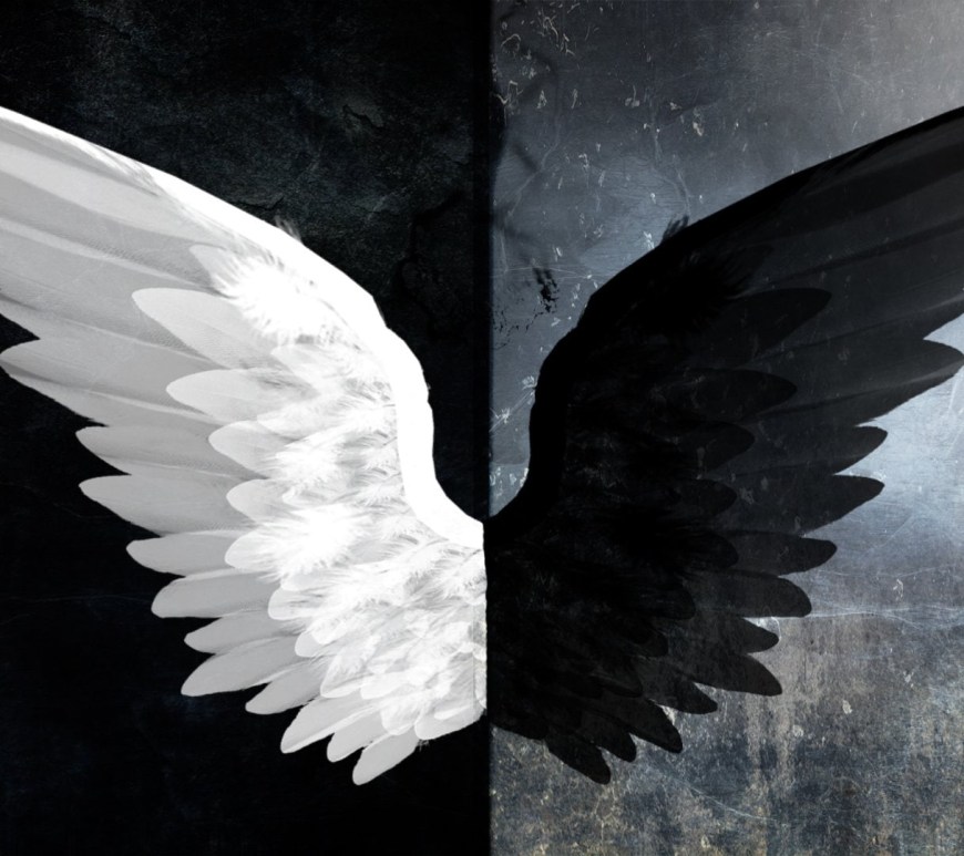 Angel Demon Wings