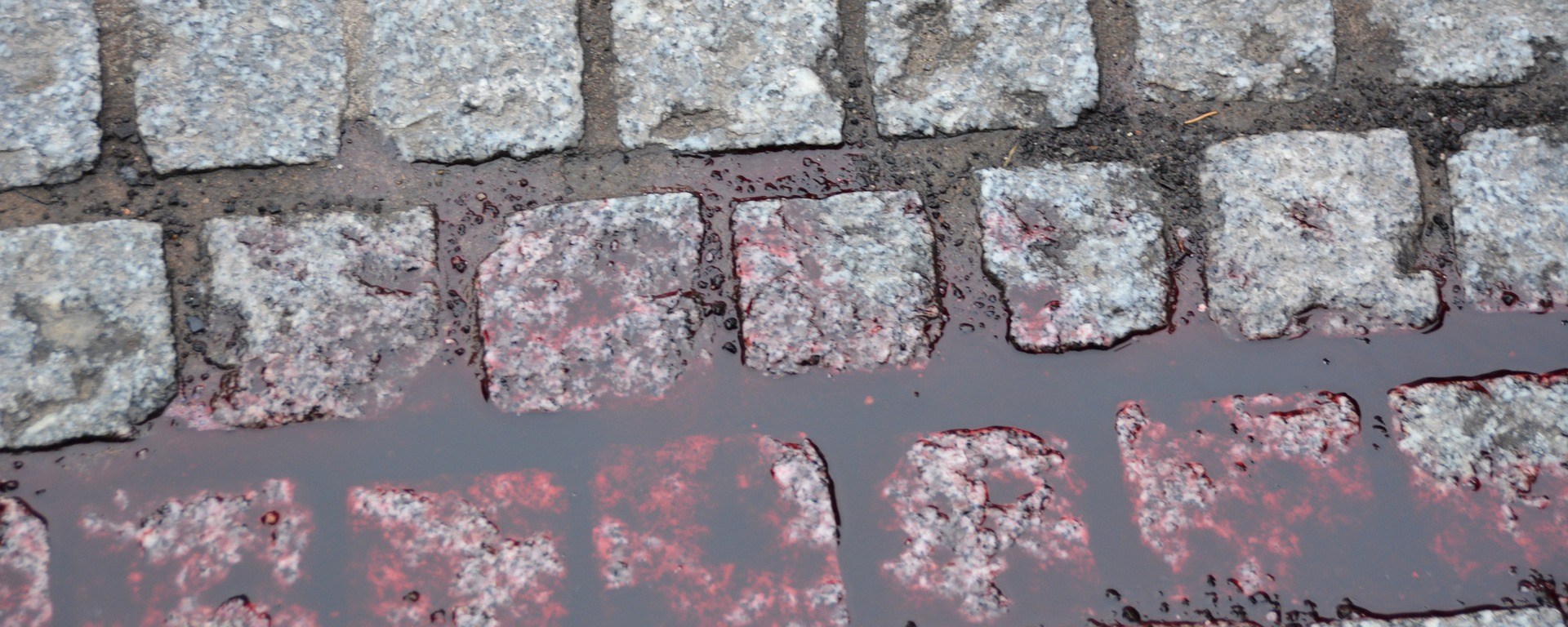 Blood Pavement
