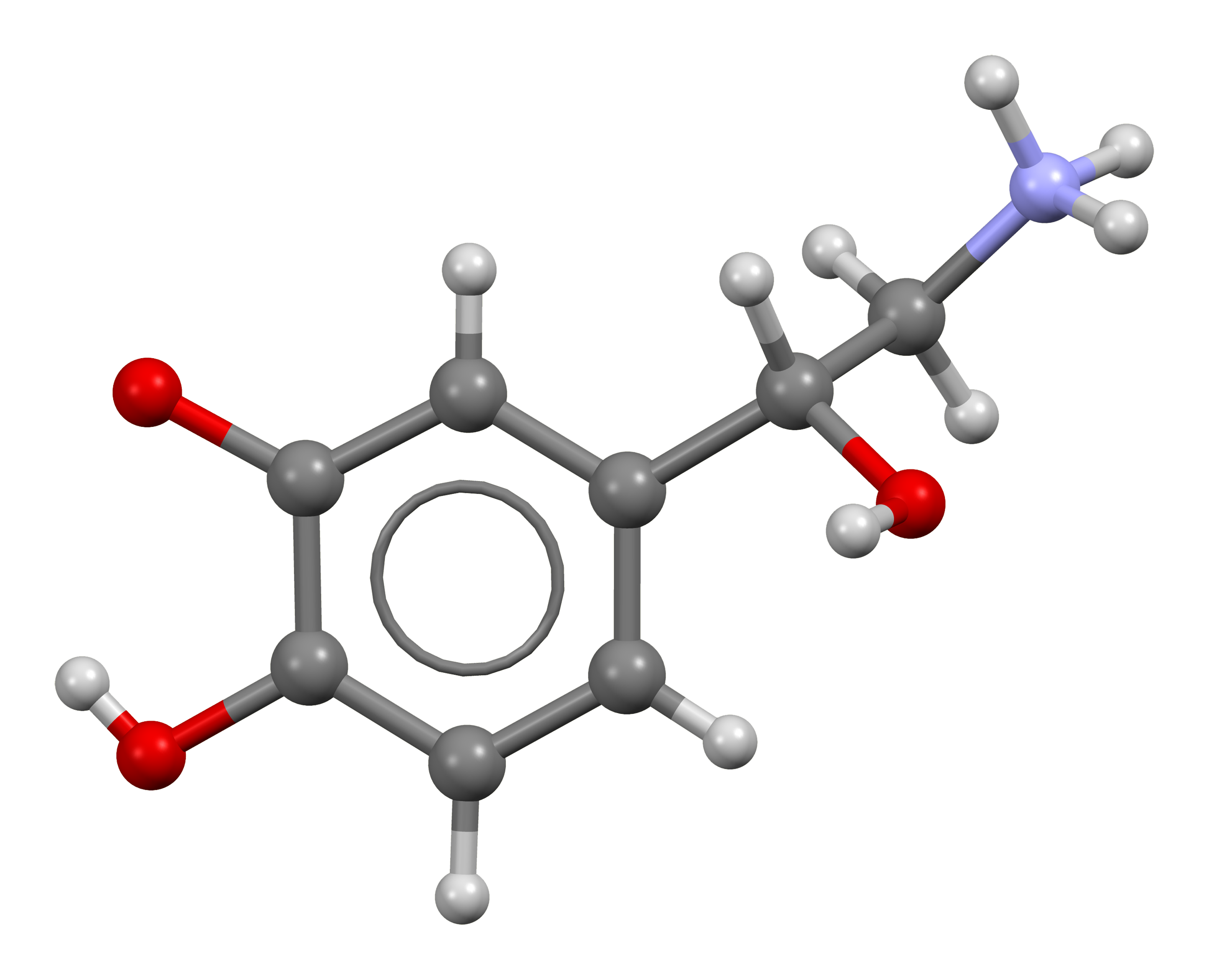Noradrenaline from xtal view 1 3D bs 17