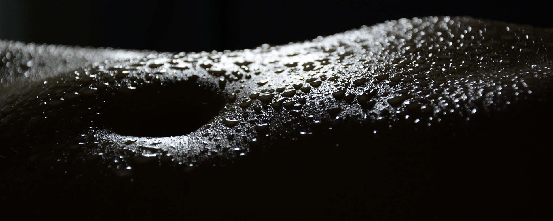 PARAPHILIA - SEXUALITY