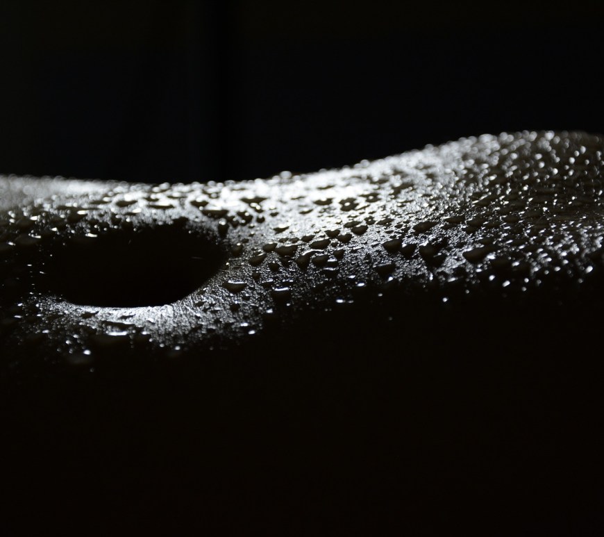 PARAPHILIA - SEXUALITY