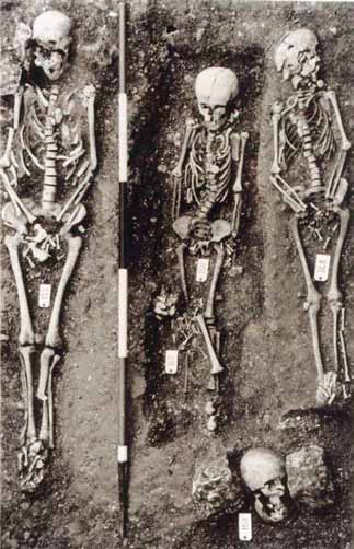 Medieval burials at Wharram Percy  - Vampire Burials