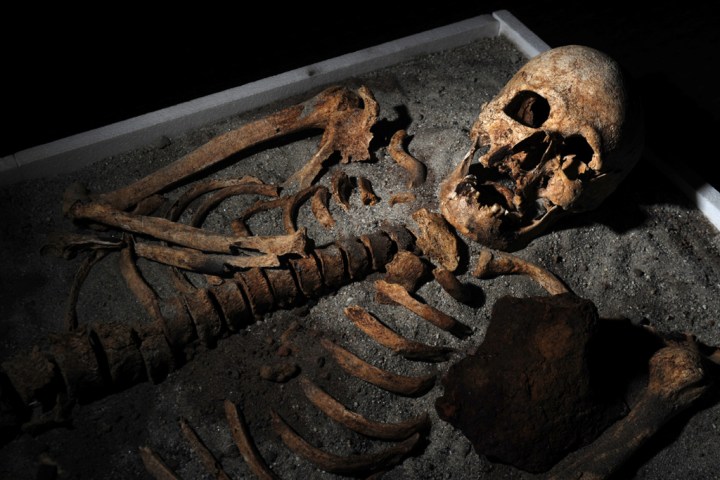 Vampire Skeleton - 2012-06-14