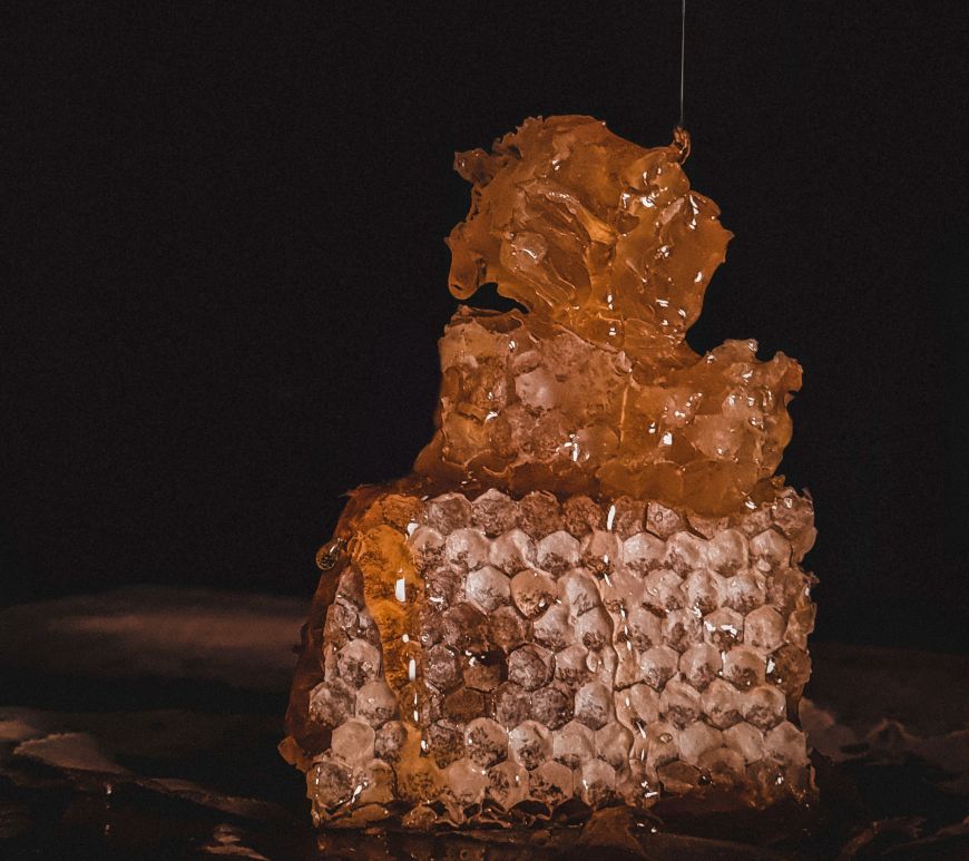 Honey - Food
