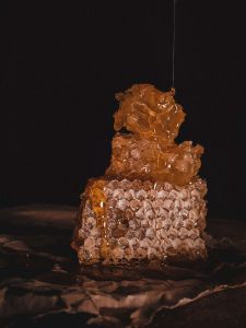Honey - Food