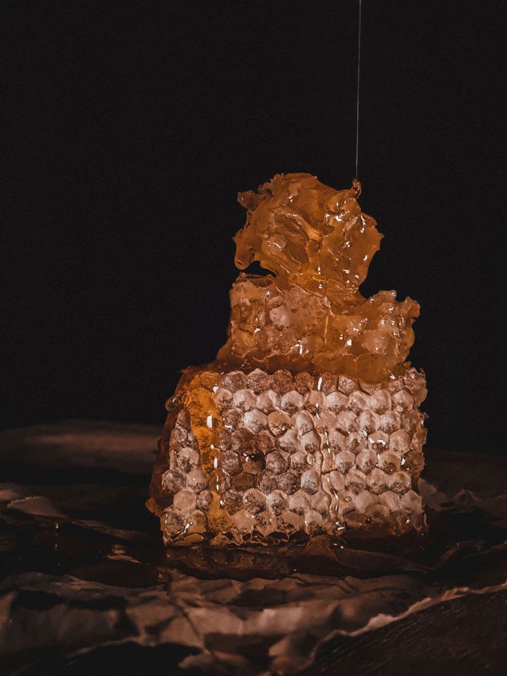 Honey - Food